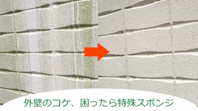 外壁についたコケ、困ったら特殊スポンジで